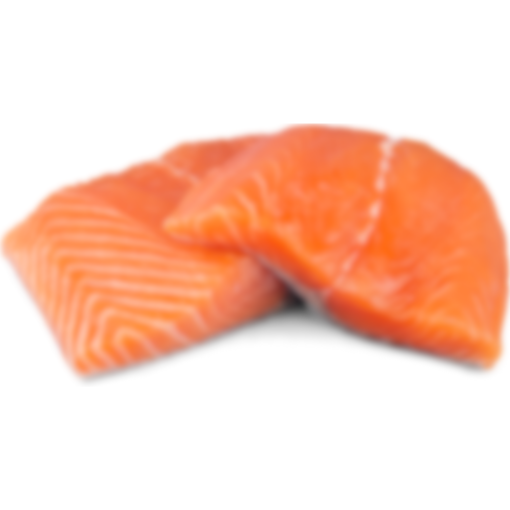 Salmón